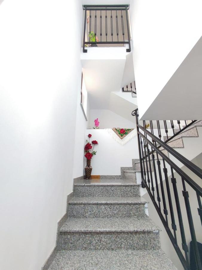 Vila Casa Hatere Moisei Εξωτερικό φωτογραφία